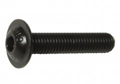 Socket Screws - Dome Flange - Self Colour