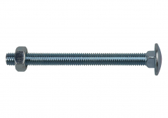 Carriage Bolts & Hex Nuts