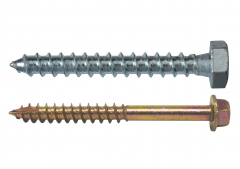 Coach Screws