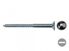 Mirror Screws