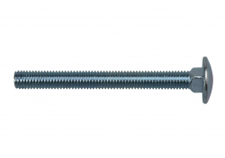 Carriage Bolts (bolt only)