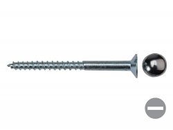 Mirror Screws