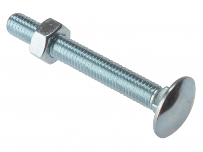 Carriage Bolt ZP        M6x100 10 Per Bag               (D27)