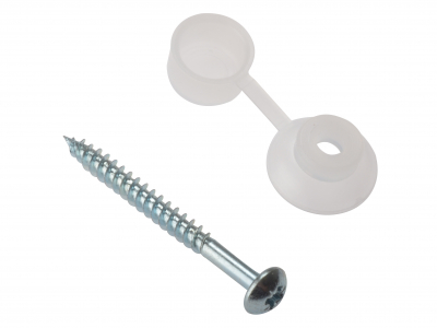Corrugated Roofing Screw & Cap 10 Per Bag               (D26)