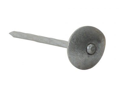 Spring Hd Nail Galv  3.35x65mm 500gm Bag                 (D3)
